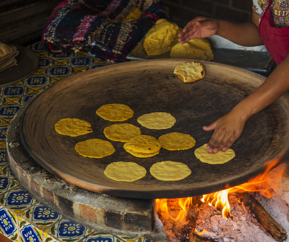 Nos solidarizamos con la red - Tortilla de Maíz Mexicana